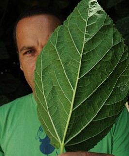 photo thumbnail