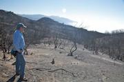 Looking across a number of smaller drainages in the upper end of what is the Los Carneros Creek watershed illustrates the difficulty of trying to stem the debris flow in each of them.