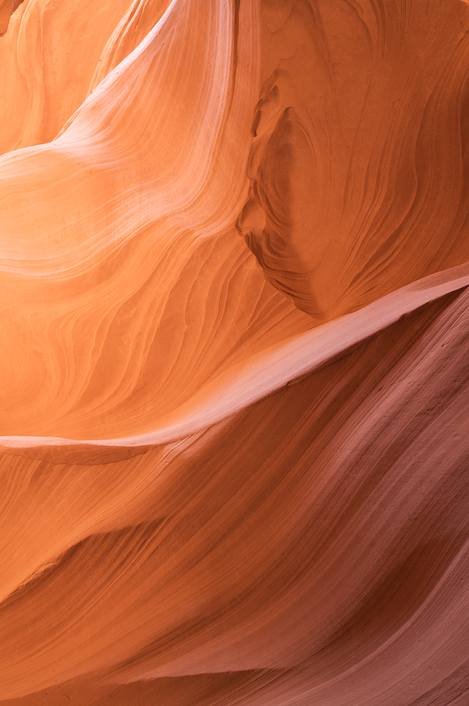 Photo detail