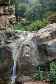 Canyon narrows provides lots of opportunities for off-trail exploration. Beware the poison oak.