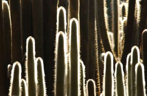 Photo detail