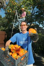 Backyard Harvest program director Doug Hagensen holds some fresh picked persimmons with help from Volunteer Nicola Gordon