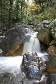When it is flowing like this, the West and Middle forks of Cold Springs is spectacularly beautiful.