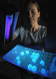 Water watcher: Penny Owens, an assistant biologist with Santa Barbara Channelkeeper, uses a black light to reveal the presence of enterococci bacteria in a sample of ocean water taken from Butterfly Beach earlier this week.
