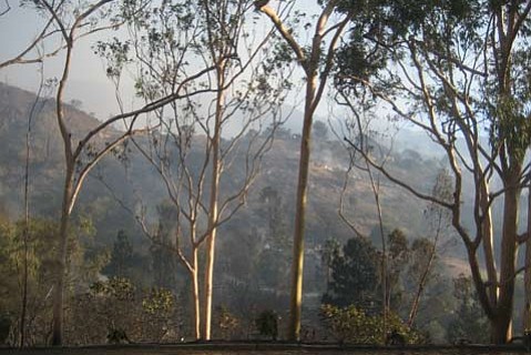 photo thumbnail