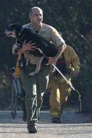 John Perry from Santa Barbara County Animal Services carries Quincy back to safety from the dog's Mountain Drive home.