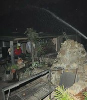 photo thumbnail