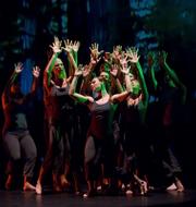 Students from the UCSB Dance Company joined SBDT dancers in Jerry Pearson's "Life Cycle of Trees."