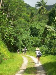 Time to stretch the legs and hit terra firma for a land excursion. Sailing to undiscovered places gives ample opportunity to explore little-known natural beauty on land as well as at sea.
