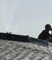 photo thumbnail
