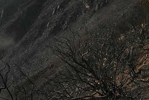 photo thumbnail