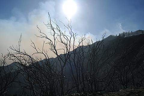 photo thumbnail