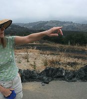 photo thumbnail