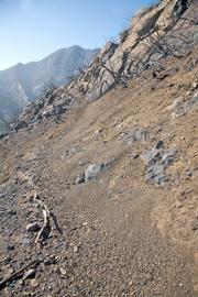 Section of Tunnel Trail shows how quickly the fire damage has impacted the trail. Ninety-five per cent of the trail looks like this or worse.