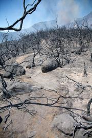 Jesusita Trail near Inspiration Point was the first of the local trails to be impacted by the fire. It will take a community effort to rebuild all of the trails impacted during the Jesusita Fire.