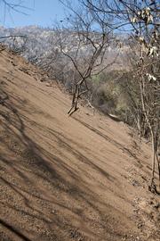Slides in upper Rattlesnake Canyon below Tin Can Flats will need to be cleaned out to make passage safe.