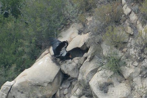 photo thumbnail