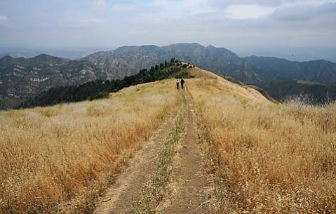 photo thumbnail