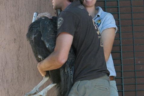 photo thumbnail