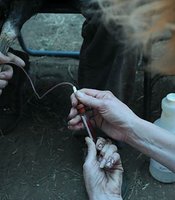 photo thumbnail