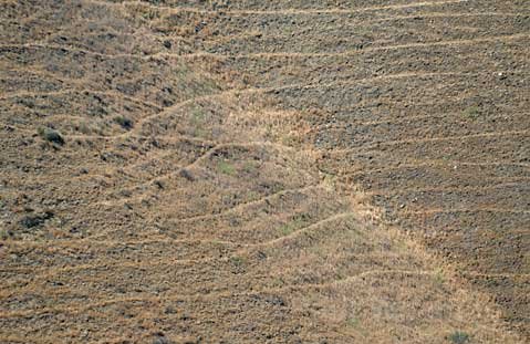 Photo detail