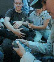 photo thumbnail