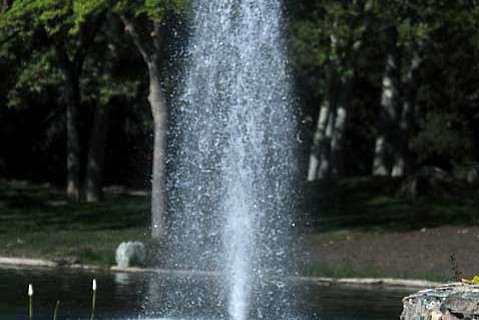 photo thumbnail