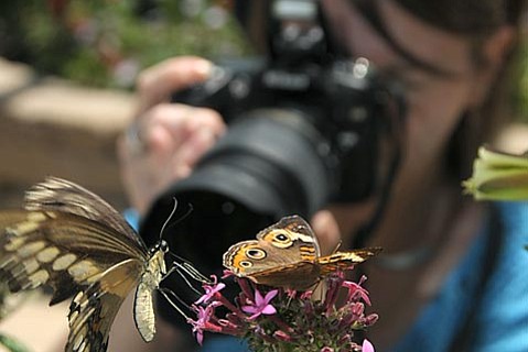 photo thumbnail