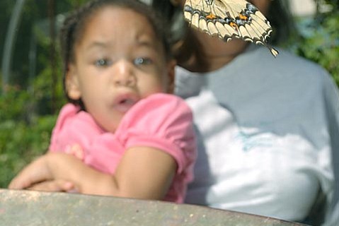 photo thumbnail