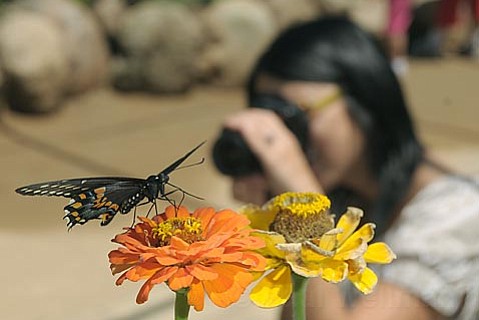 photo thumbnail
