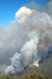 When wind and topography align, the flames push rapidly uphill creating huge plumes and scattering coals for up to a half mile.