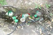 Irrigation used for washing dishes from an earlier eradication in 2009.
