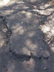 Asphalt along the Oak Grove Trail has degraded over time and now poses a safety issue for trail users.