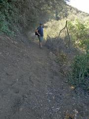 Wilderness Trails Manager Kerry Kellogg ponders reason why anyone would want to make these kind of changes to a section of trail that did not need work.