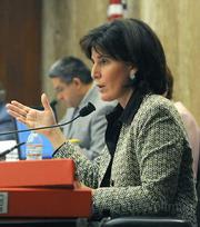 Supervisor Janet Wolf, in whose district the park is located, will sit on a special committee with Supervisor Doreen Farr to study new project ideas.