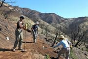 Further up trail, other volunteers finish another type of water control feature known as a nick.