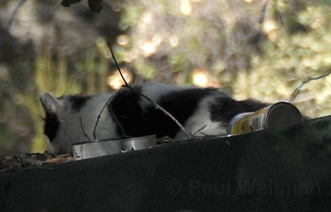 Photo detail