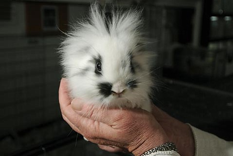photo thumbnail