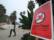 Warning signs posted at Arroyo Burro Beach didn't stop a handful of surfers from taking advantage of the waves