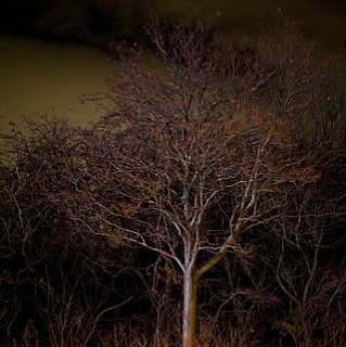 photo thumbnail