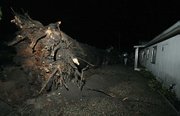 A massive eucalyptus tree fell on the 1600 block of Sycamore Canyon Road, miraculously missing a home by only a few feet.
