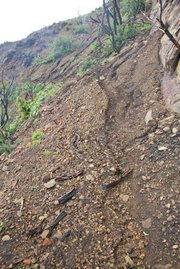 Along with debris, rocks and wood littering the trails, some sections of Tunnel Trail saw more extensive hillside erosion as this photo shows.