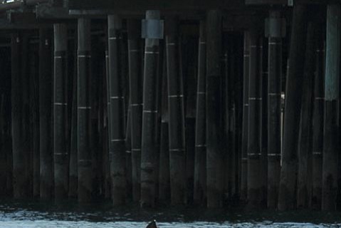 photo thumbnail