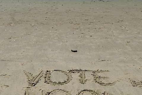 photo thumbnail