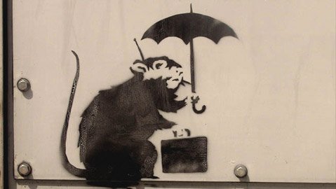 Photo detail