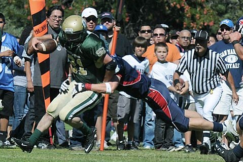 photo thumbnail