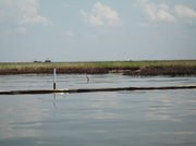 A boom that arrived two weeks too late. Oil damage to the marshland can be seen in the background.
