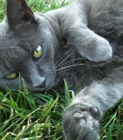 photo thumbnail