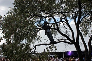 photo thumbnail