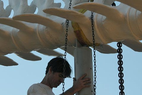 photo thumbnail